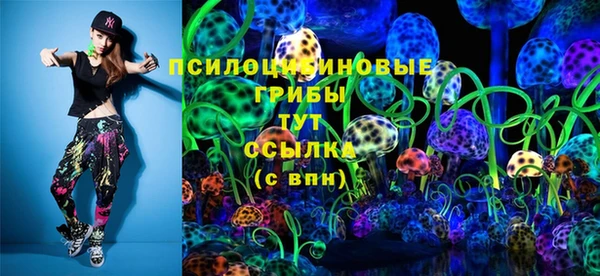 герыч Новодвинск