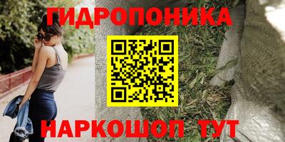 молекула духа Гай