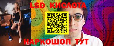 прущие грибы Абакан