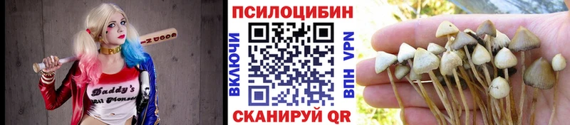 Псилоцибиновые грибы Psilocybe  даркнет формула  Абинск 