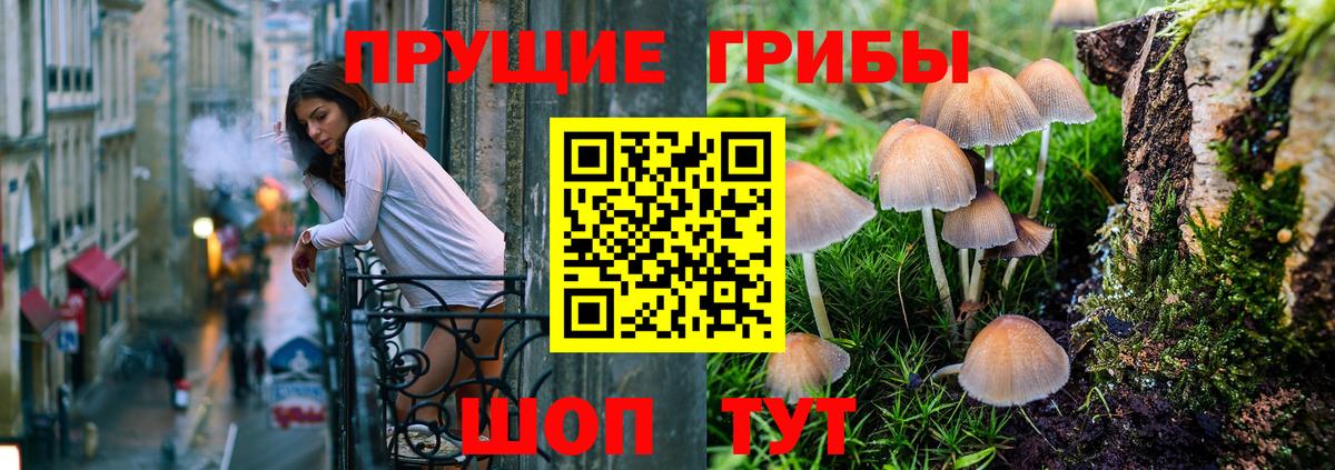 Галлюциногенные грибы ЛСД  Вход с VPN  Абинск 