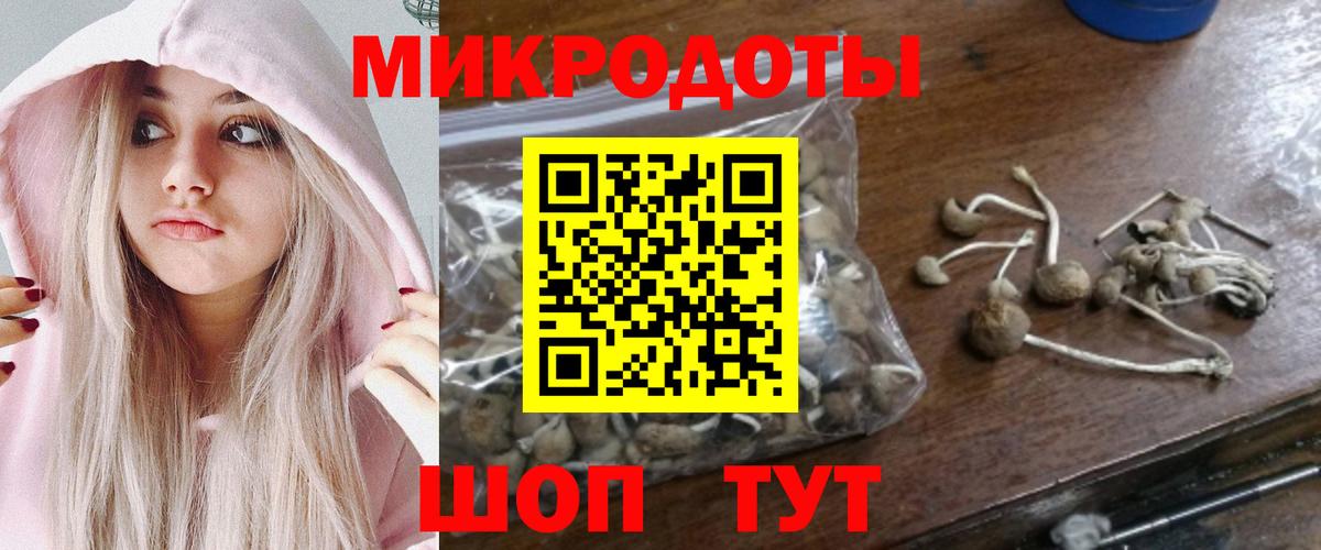 Абинск  Псилоцибиновые грибы мицелий  Вход с VPN 