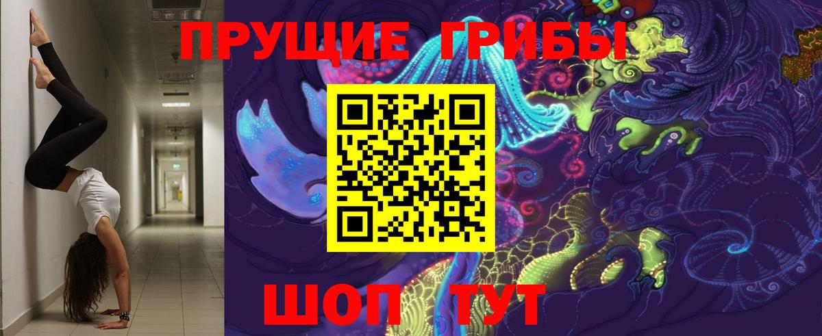 Псилоцибиновые грибы GOLDEN TEACHER Абинск